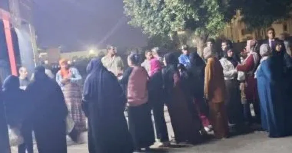 استمرار توافد المواطنين على لجان المعصرة وحدائق حلوان