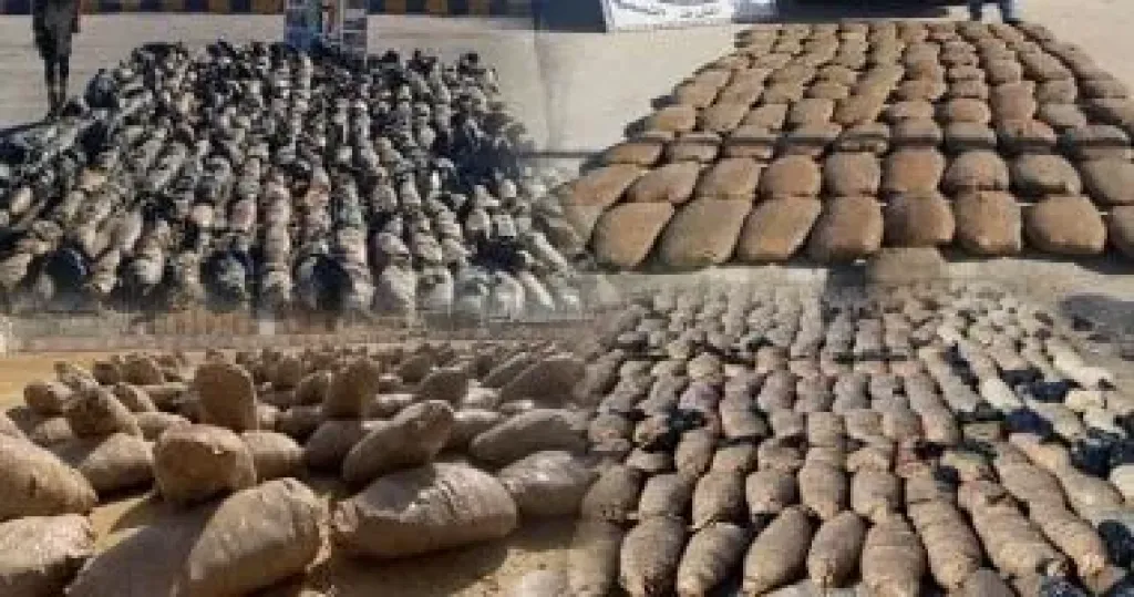 ضبط شحنة مخدرات «طن حشيش» فى الرمل بمحافظة الإسكندرية