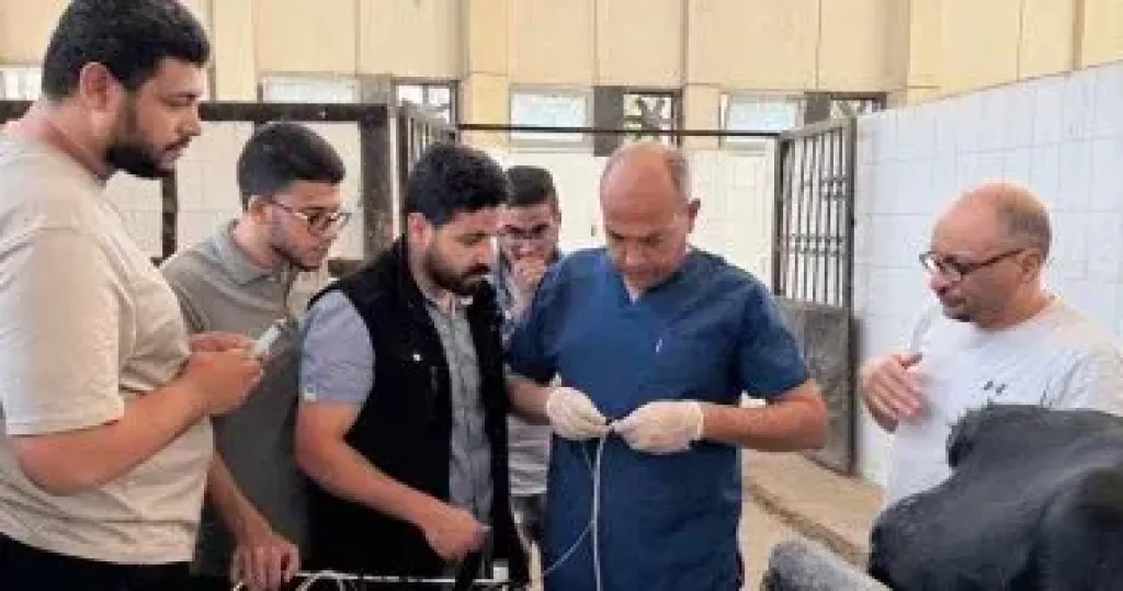 تقنيات حديثة لتشخيص وعلاج المشاكل التناسلية فى الخيول وحيوانات المزرعة