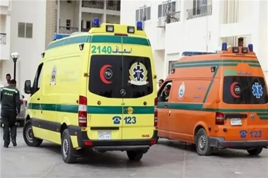 إصابة 8 أشخاص إثر إنقلاب ميكروباص أسفل كوبري قليوب