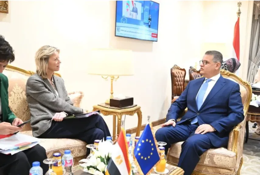 النائب طارق رضوان يلتقي الممثل الخاص للاتحاد الأوروبي لحقوق الإنسان|صور