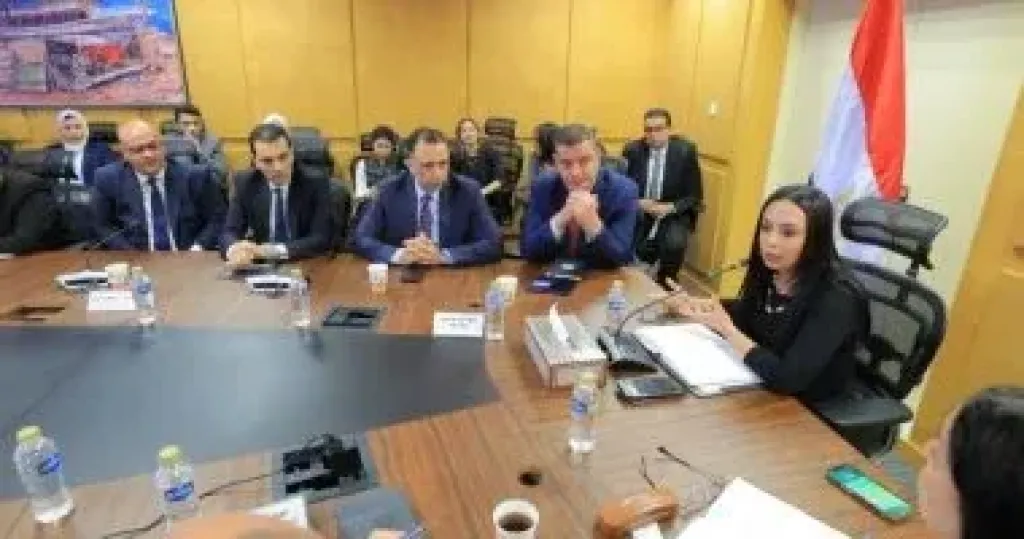 وزيرة التضامن تلتقى فريق عمل صندوق دعم مشروعات الجمعيات والمؤسسات الأهلية
