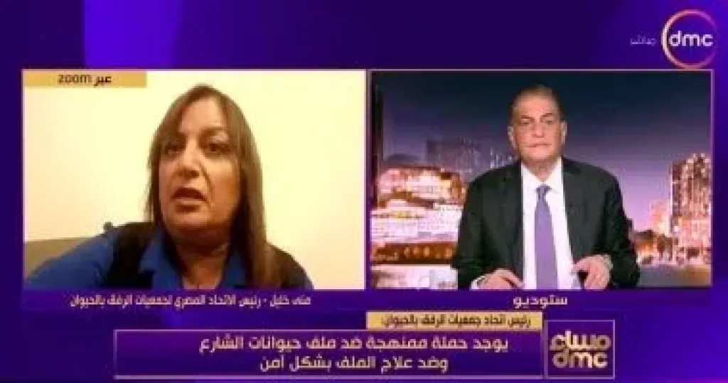 جمعيات الرفق بالحيوان: يوجد حملة ممنهجة ضد ملف حيوانات الشارع وضد العلاج الآمن