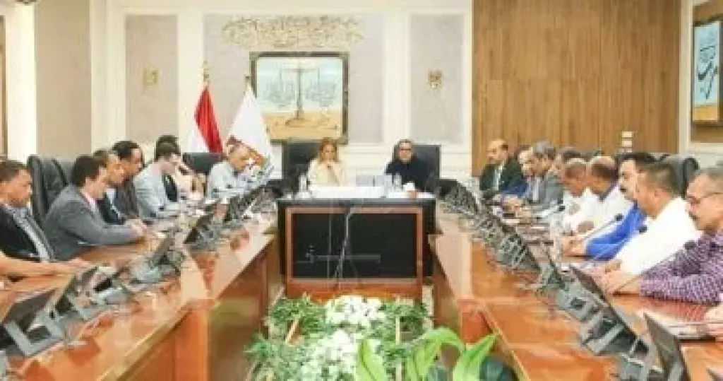 نائب محافظ الوادى الجديد تبحث مع مدير اليونسكو مشروعات التعاون المقترحة