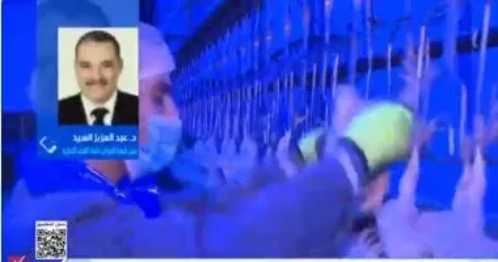 رئيس شعبة الدواجن لـ”إكسترا نيوز”: الحلقات الوسيطة تلتهم انخفاض الأسعار