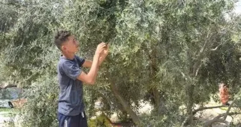 ”بحوث الصحراء” يستقبل وفداً رفيع المستوى من جامعة چينچو الصينية لتعزيز التعاون العلمي