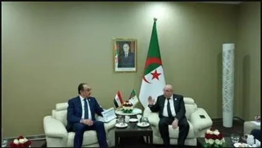 وزير قطاع الأعمال: تعزيز الشراكة الصناعية بين مصر والجزائر بمجال الأدوية