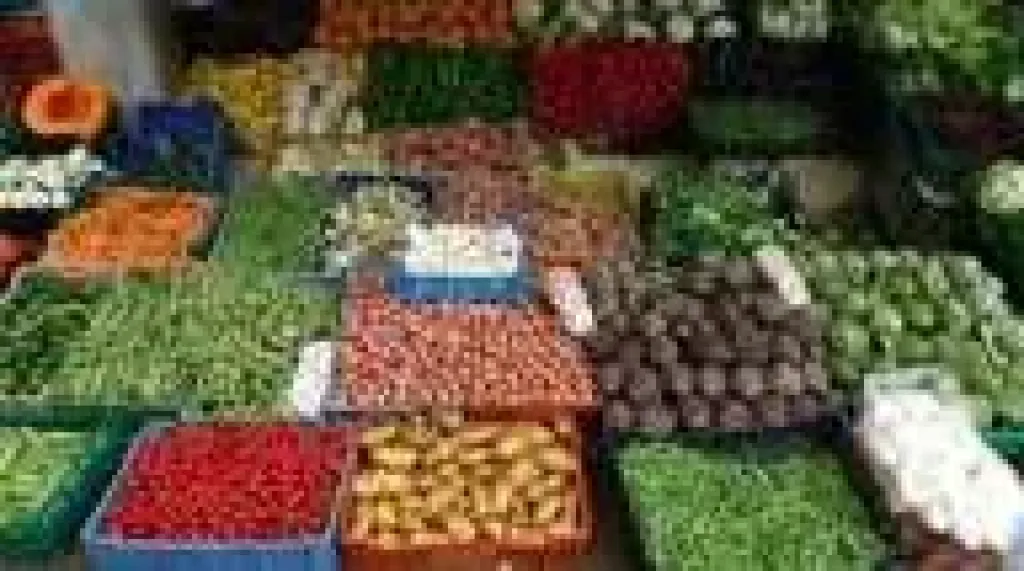 أسعار الخضار اليوم، انخفاض الخيار 6 جنيهات وارتفاع الجزر والكوسة