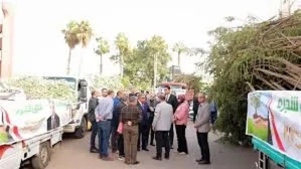 الدقهلية تتسلم 27 ألف شتلة ضمن المرحلة الرابعة لمبادرة ”100 مليون شجرة”