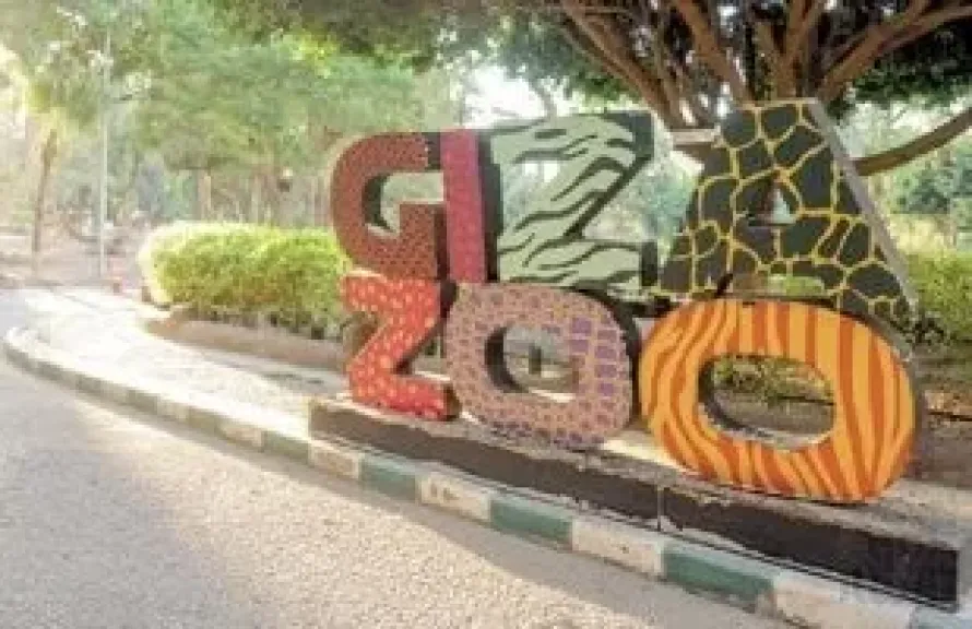 حديقة الحيوان بالجيزة تفتح أبوابها للجمهور بعد التطوير في 2026