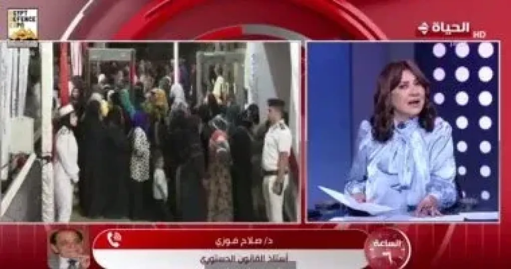 أستاذ قانون دستوري: أحكام إلغاء نتيجة الانتخابات بعدد من الدوائر واجبة النفاذ