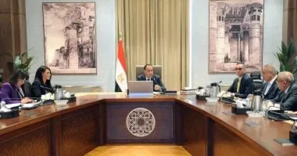 رئيس الوزراء يستعرض الهيكل التنظيمى لوحدة إعادة هيكلة الشركات المملوكة للدولة