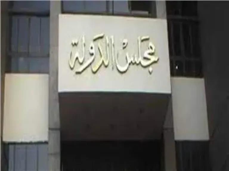 الإدارية العليا: غياب محاضر الفرز من «الوطنية للانتخابات» وراء إلغاء بعض  الدوائر