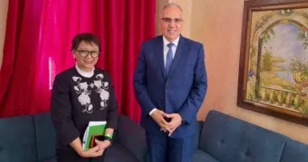 وزير الرى: استعداد مصر لتقديم الدعم الكامل لمبعوثة الأمم المتحدة لشئون المياه