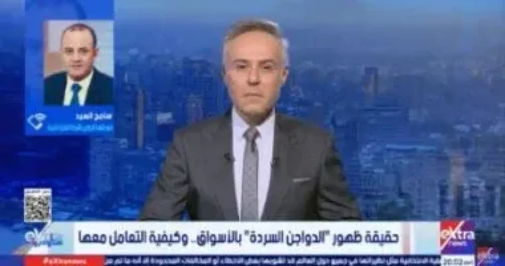 شعبة الدواجن تحذر: الفراخ السردة تغزو الأسواق الشعبية.. اشتروا من المنافذ الرسمية