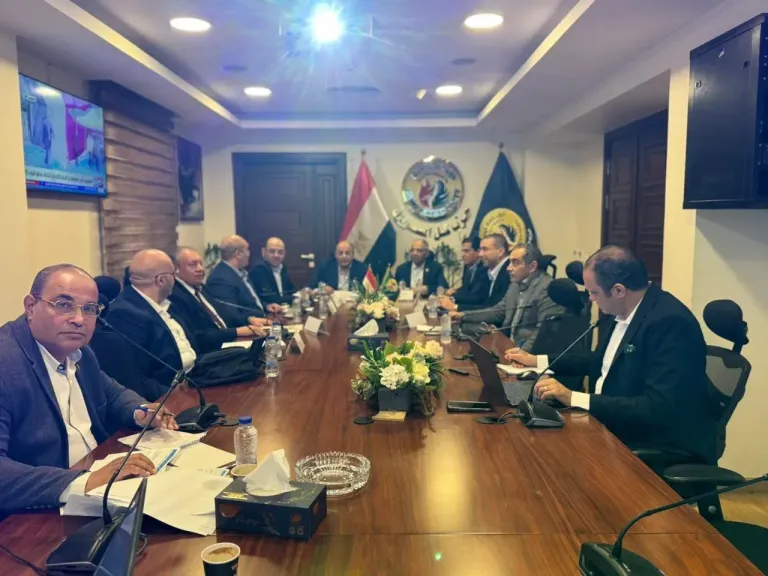 غرفة عمليات حماة الوطن تتابع عمليات التصويت في الدوائر الملغاة من المرحلة الأولى لانتخابات مجلس النواب