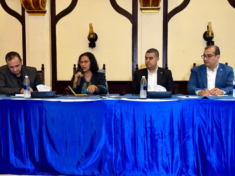 ”مصر الخير” تناقش توظيف الفنون والثقافة  داخل المنظمات الأهلية لتعزيز  الوعى بالعمل المناخي