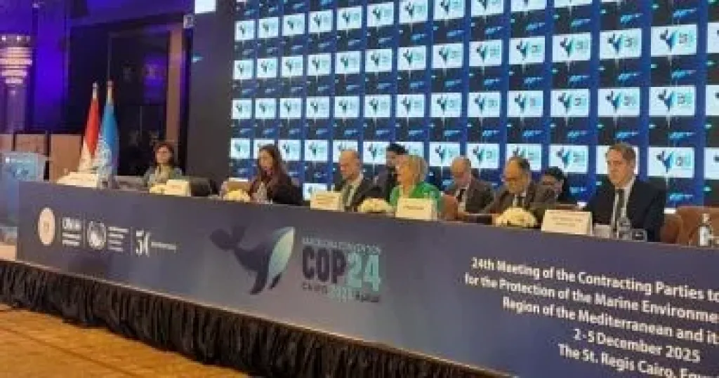 استعادة النظم البيئية ومبادرة للتحالف المئوى للبحر المتوسط أبرز خطط cop24 حتى 2030