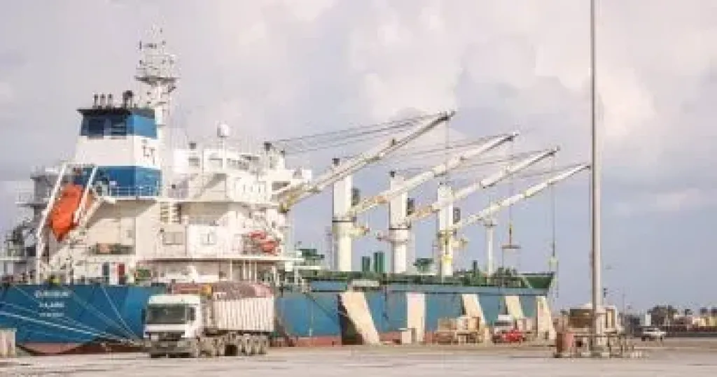 تداول 31 سفينة للحاويات والبضائع العامة بميناء دمياط