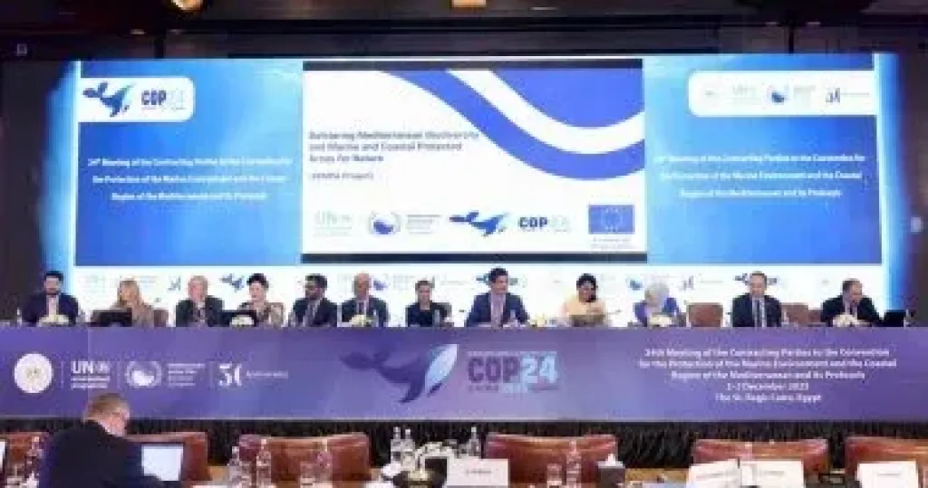 الاقتصاد الأزرق ودور العلم والقطاع الخاص والبرلمانيين تستحوذ على أحداث COP24