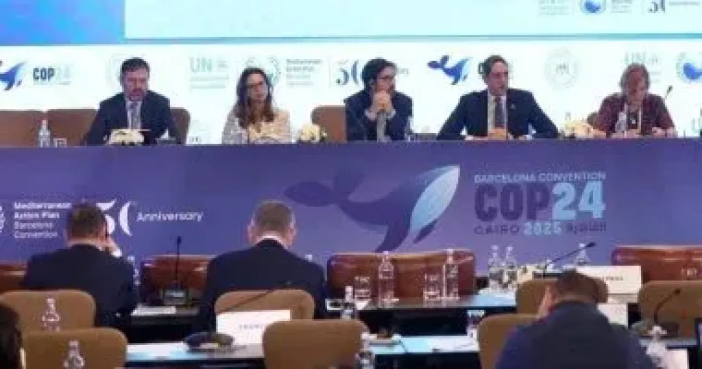 عرض التجربة المصرية والتونسية في حماية السواحل وتعزيز الاقتصاد الأزرق بCop24