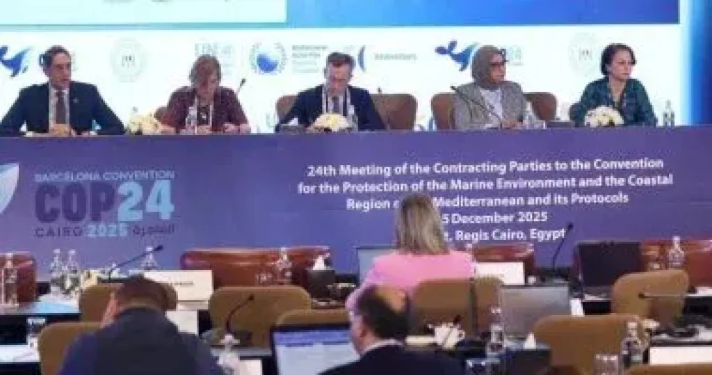 خلال Cop24: الموانئ الرقمية الخضراء أحد مهام الإطار الوطنى المتكامل للاقتصاد الأزرق