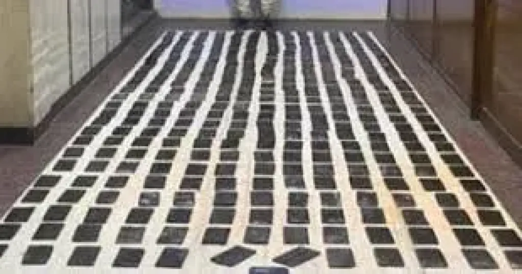 ضبط 6 متهمين جدد بقضية ”طن الحشيش” في الإسكندرية