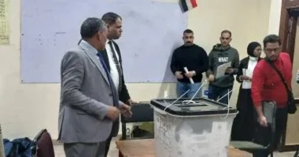 فرز الأصوات في لجان قنا بعد انتهاء اليوم الثاني من انتخابات مجلس النواب في الدوائر الملغاة