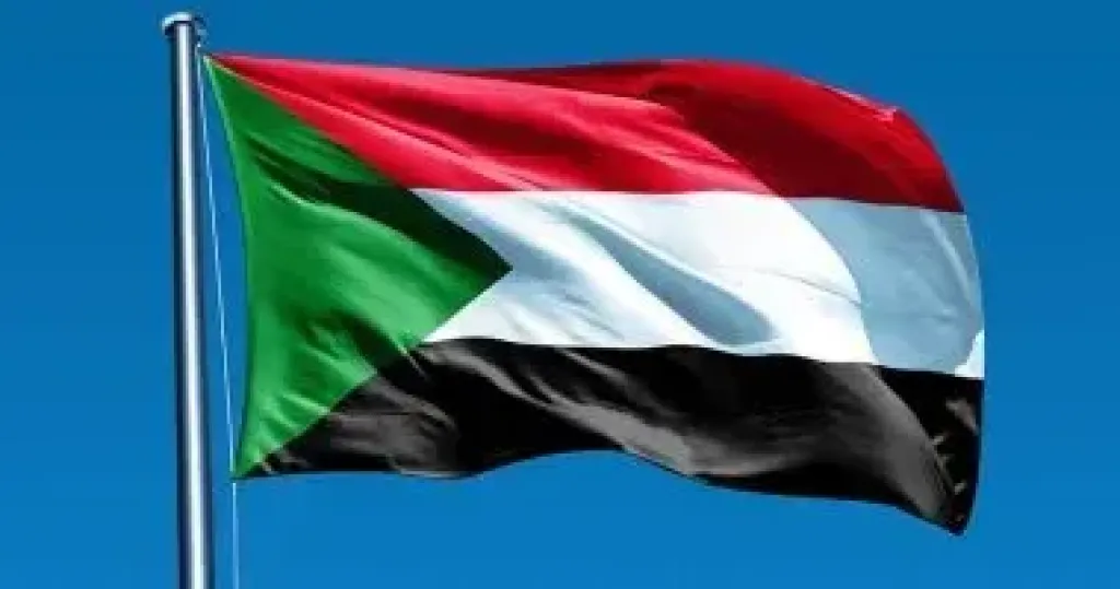 استشهاد 79 سودانيا بينهم 43 طفلا في قصف بمسيرة في كالوقي جنوب كردفان