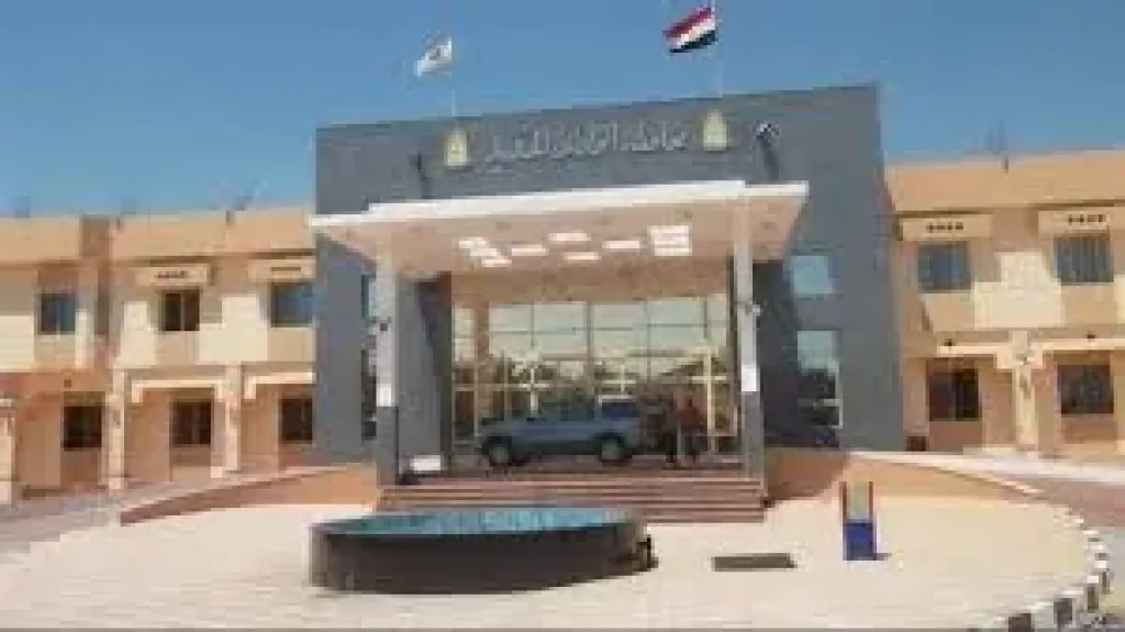 طرح محلات تجارية للشباب بنظام التمليك في الوادي الجديد