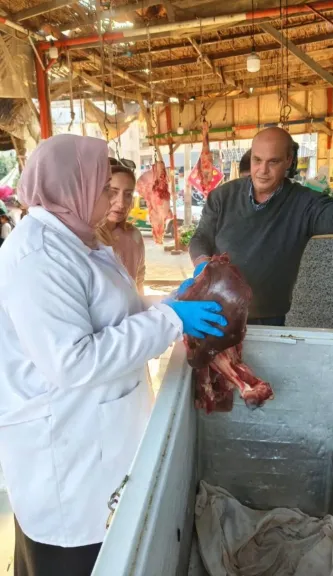 ضبط ٨٥ طن لحوم و دواجن فاسدة خلال      حملة تفتيشية ببيطرى العاشر من رمضان