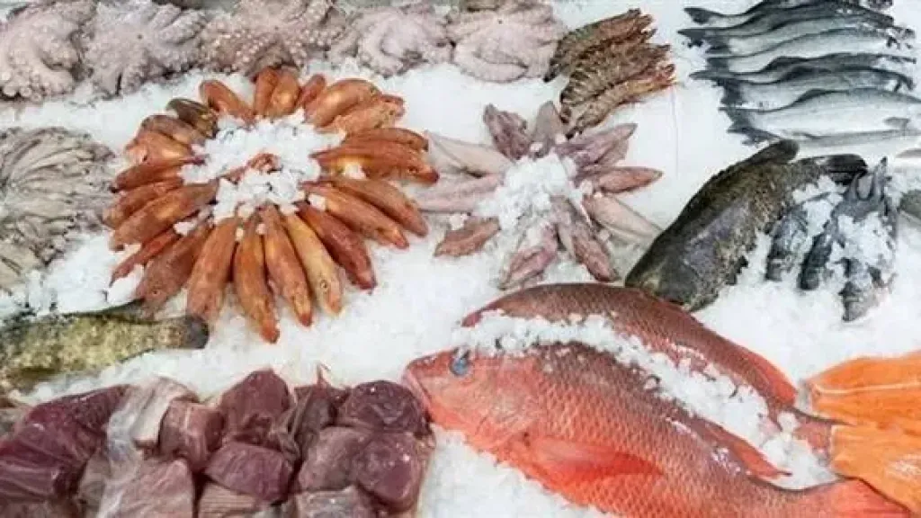 سعر السمك اليوم، البلطي يبدأ من 58 جنيها وارتفاع جديد في المكرونة والجمبري