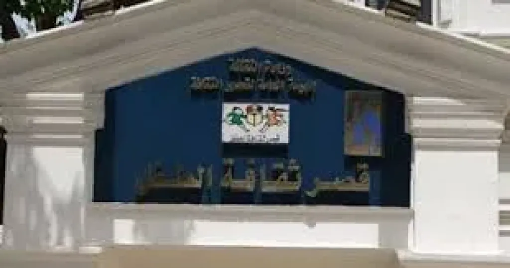 غدًا.. انطلاق ملتقى الطفل الأول ”همم للقمم” بقصر ثقافة جاردن سيتي