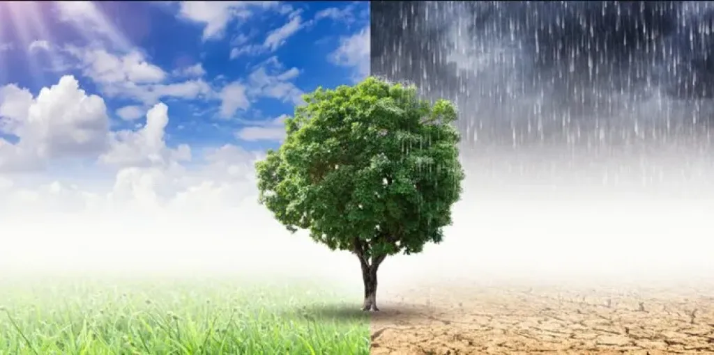 الدكتور علاء النهري يكشف تأثيرات التغيرات المناخية على دول العالم |فيديو