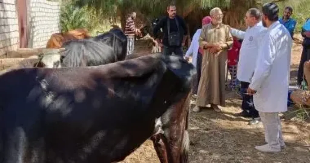 ”بحوث الصحراء” يطلق قوافل إرشادية وبيطرية لدعم مربي الثروة الحيوانية