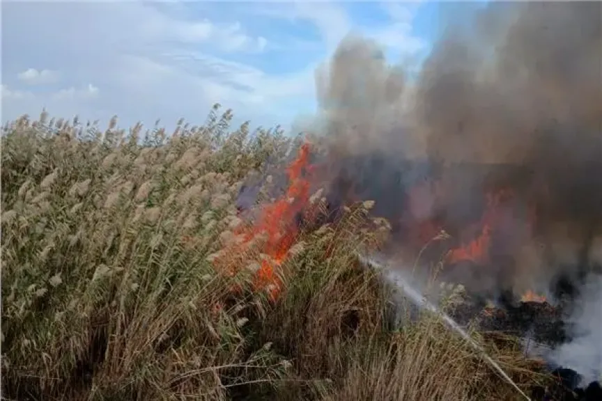 السيطرة على حريق بأرض فضاء بمنطقة العامرية بالإسكندرية