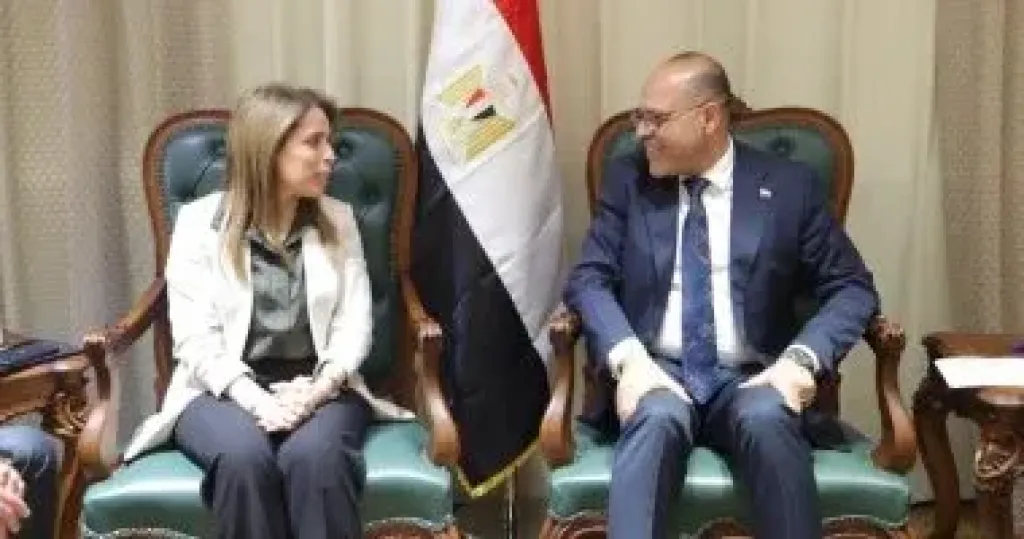 وزير العمل يبحث مع منظمة العمل الدولية الاستعدادات لإصدار الاستراتيجية الوطنية للسلامة