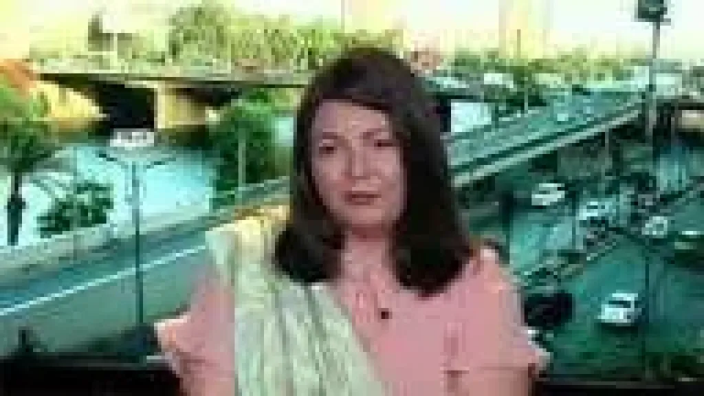 قرار جديد ضد قائد سيارة ملاكي بتهمة دهس الكاتبة ميرال الطحاوي بالتجمع