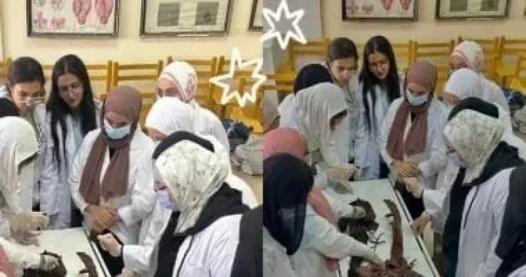 ٢٨ توصية في ختام المؤتمر الإقليمي للمسؤولية المجتمعية والتنمية المستدامة للجامعات العربية