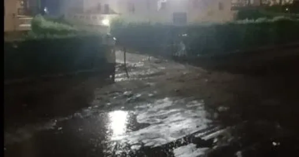 أمطار رعدية وتأثر حركة الصيد فى بوغاز عزبة البرج وبحيرة المنزلة