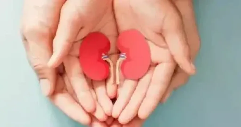 تظهر حتى مع شرب المياه الكافى.. علامات في البول والجلد على أمراض الكلى