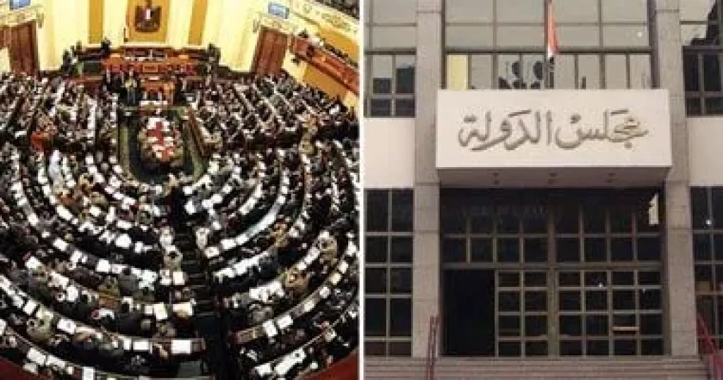 الإدارية تحدد مصير 257 طعنا على نتيجة انتخابات المرحلة الثانية للنواب اليوم