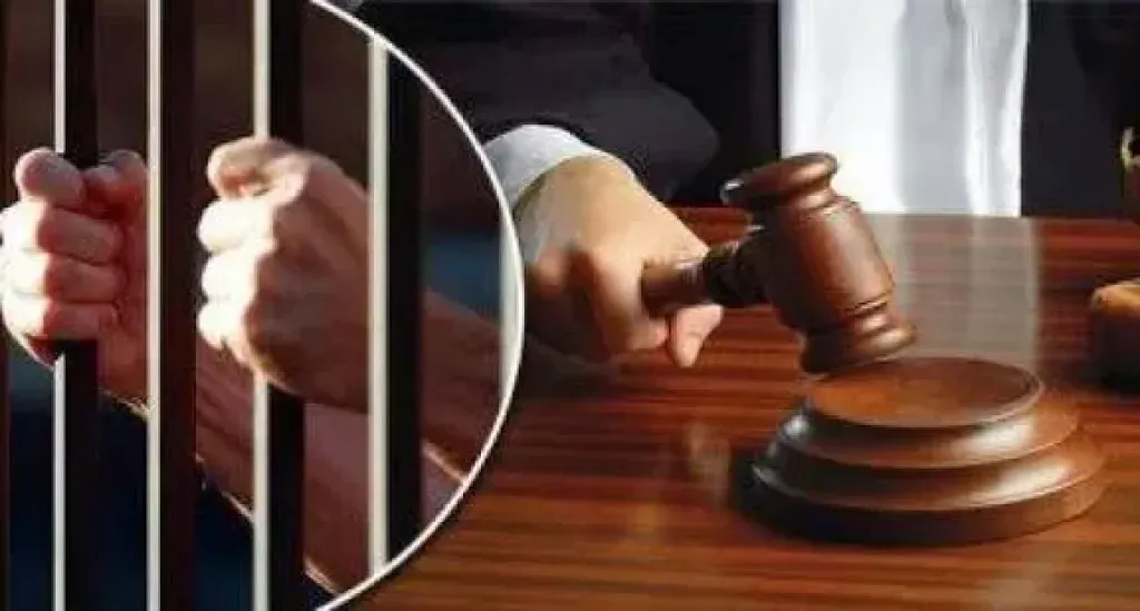 السجن المؤبد لسيدة اختطفت طفلة في الإسكندرية