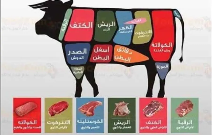 عالم اللحمة: دليلك لاختيار أطرى حتة لحمة