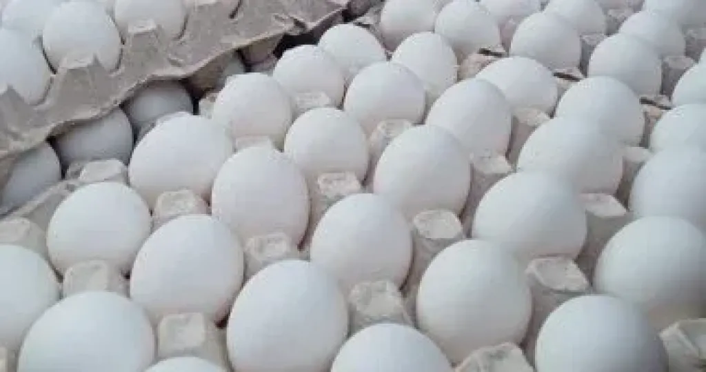 ”الإصلاح الزراعى” يطلق 25 منفذًا متنقلاً للسلع الغذائية بتخفيضات 20%