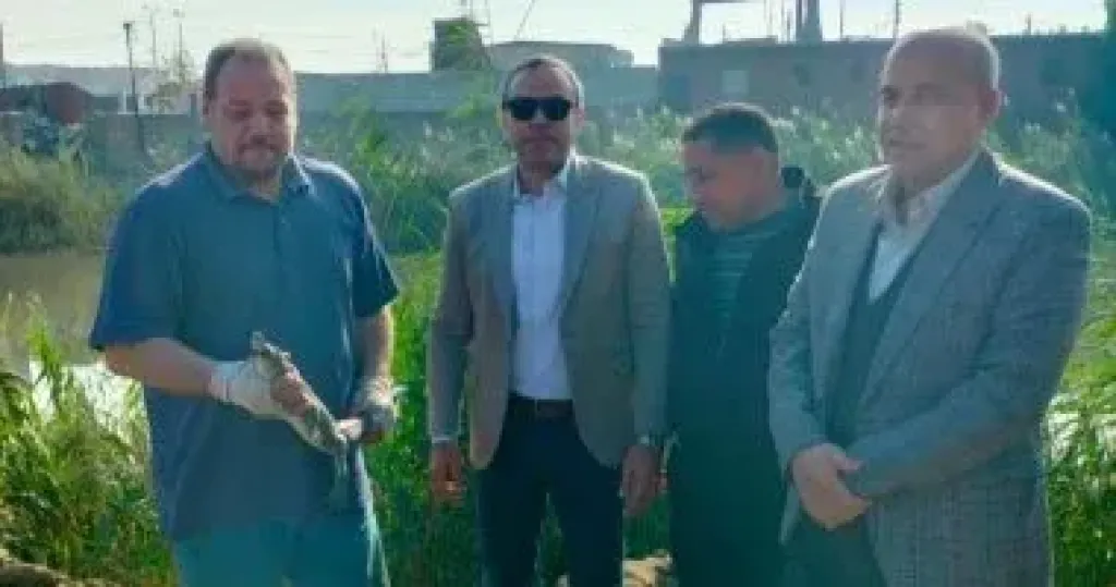 وزارة البيئة تبحث إعادة تمساح مصرف الزوامل إلى بيئته الطبيعية فى بحيرة ناصر