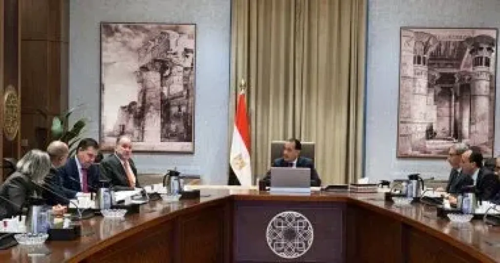 رئيس الوزراء يبحث مع رئيس بلومبرج جرين شراكات في الأمن الغذائي والدوائى