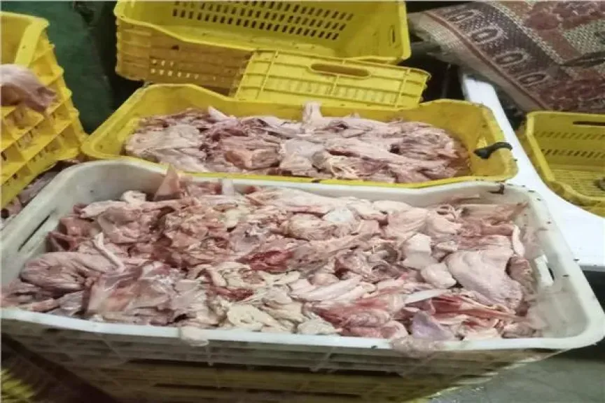 ضبط 45 طن لحوم فاسدة ومذبوحة خارج المجازر بالجيزة