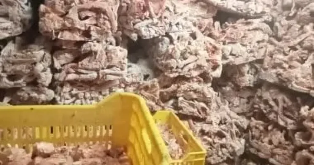 ضبط 45 طن لحوم فاسدة ومذبوحة خارج المجازر فى الجيزة خلال شهر