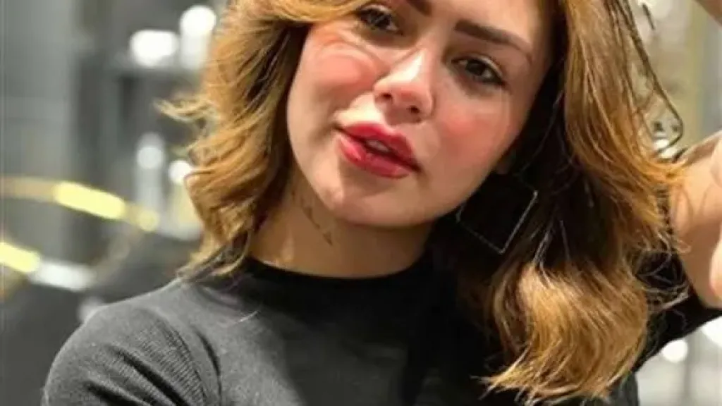 اليوم، نظر طعن هدير عبد الرازق على نص ”الاعتداء على القيم الأسرية”